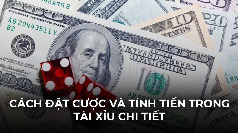Cách đặt cược và tính tiền trong tài xỉu chi tiết từ A - Z
