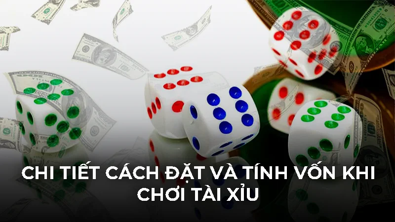 Chi tiết cách đặt và tính vốn khi chơi tài xỉu