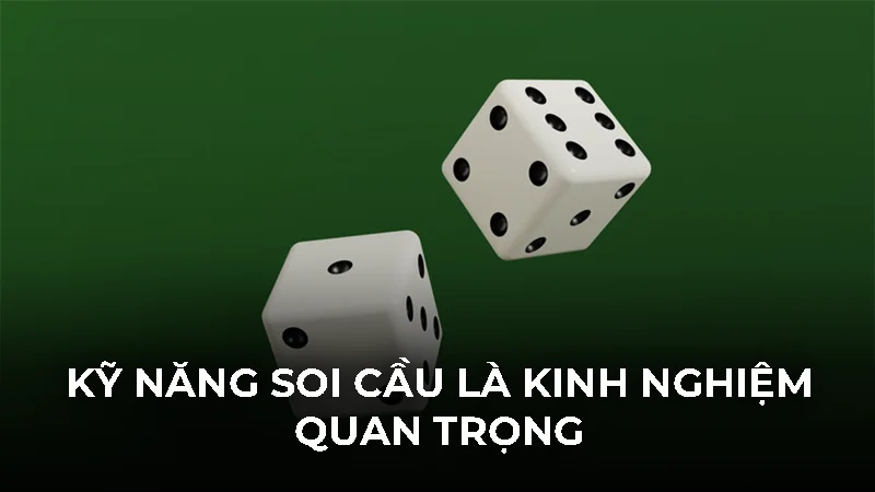 Tổng hợp kinh nghiệm đánh tài xỉu từ các chuyên gia 1 Kỹ năng soi cầu là kinh nghiệm quan trọng