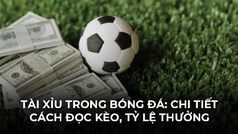 Tài xỉu trong bóng đá: chi tiết cách đọc kèo, tỷ lệ thưởng