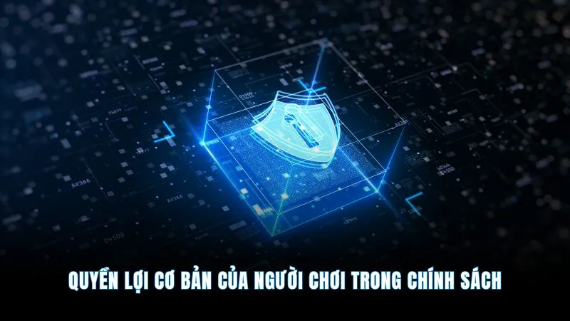 Chính sách bảo mật - An toàn tuyệt đối uy tín số 1 3 Quyền lợi cơ bản của người chơi trong chính sách