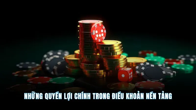 Điều khoản sử dụng - Bảo vệ quyền lợi người chơi cá cược 3 Những quyền lợi chính trong điều khoản nền tảng