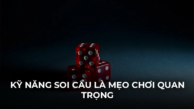 Mẹo chơi game tài xỉu hiệu quả nhất cho người mới bắt đầu 2 Kỹ năng soi cầu là mẹo chơi quan trọng