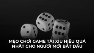 Mẹo chơi game tài xỉu hiệu quả nhất cho người mới bắt đầu