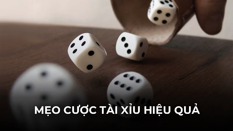 4 phiên bản tài xỉu free và mẹo chơi chắc thắng cho tân thủ 3 Mẹo cược tài xỉu hiệu quả