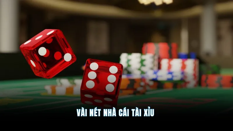 Nhà cái tài xỉu - Uy tín hàng đầu, cược nhanh thưởng to 1 Vài nét nhà cái Tài Xỉu