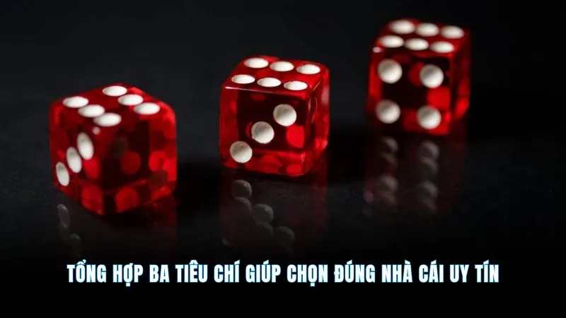 Nhà cái tài xỉu - Uy tín hàng đầu, cược nhanh thưởng to 2 Tổng hợp ba tiêu chí giúp chọn đúng nhà cái uy tín