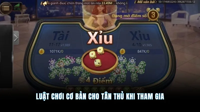 Tài xỉu 3D - Giao diện sống động, trải nghiệm cược cực đỉnh 2 Luật chơi cơ bản cho tân thủ khi tham gia