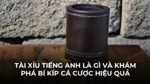 Tài xỉu tiếng Anh là gì và khám phá bí kíp cá cược hiệu quả